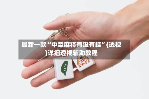 最新一款“中至麻将有没有挂”(透视)详细透视辅助教程-第3张图片
