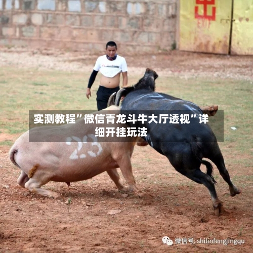实测教程”微信青龙斗牛大厅透视	”详细开挂玩法-第2张图片