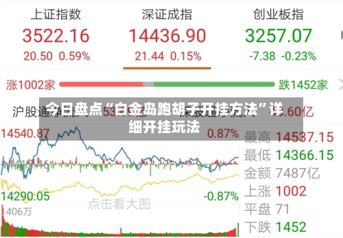 今日盘点“白金岛跑胡子开挂方法	”详细开挂玩法-第2张图片