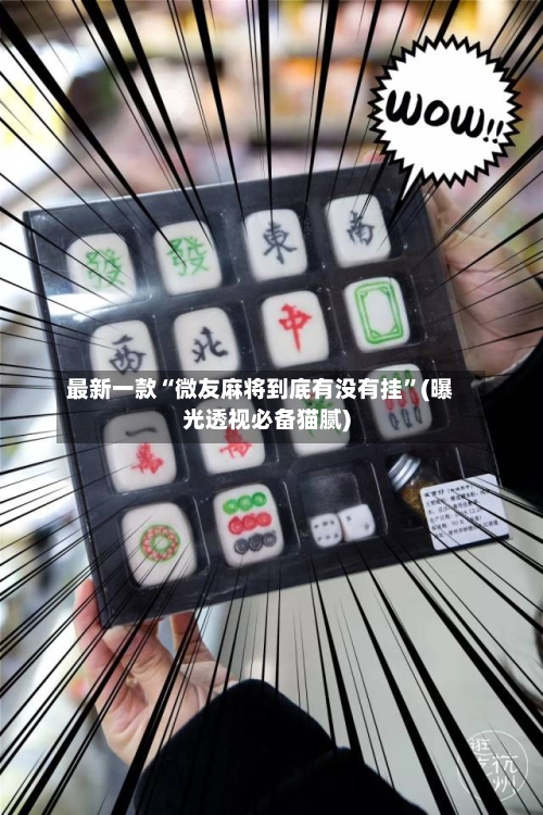 最新一款“微友麻将到底有没有挂”(曝光透视必备猫腻)-第2张图片