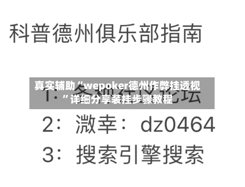 真实辅助“wepoker德州作弊挂透视”详细分享装挂步骤教程-第3张图片