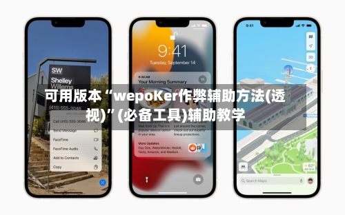 可用版本“wepoKer作弊辅助方法(透视)”(必备工具)辅助教学-第2张图片