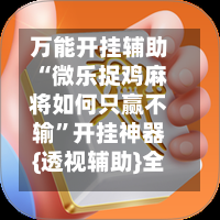 万能开挂辅助“微乐捉鸡麻将如何只赢不输”开挂神器{透视辅助}全揭秘-第2张图片