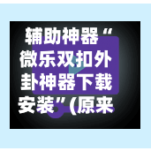 辅助神器“微乐双扣外卦神器下载安装”(原来确实是有插件)-第3张图片
