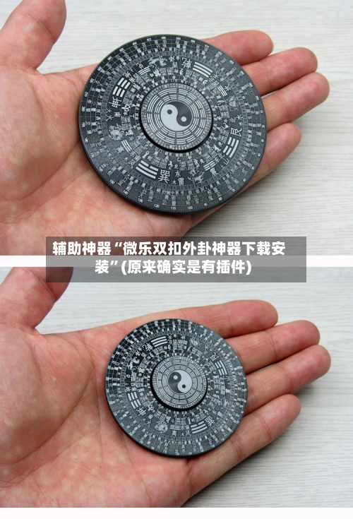 辅助神器“微乐双扣外卦神器下载安装	”(原来确实是有插件)-第2张图片