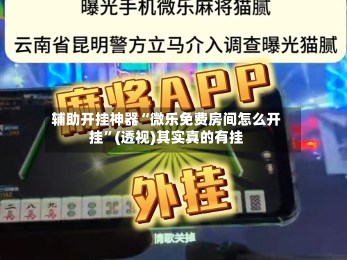 辅助开挂神器“微乐免费房间怎么开挂”(透视)其实真的有挂-第2张图片