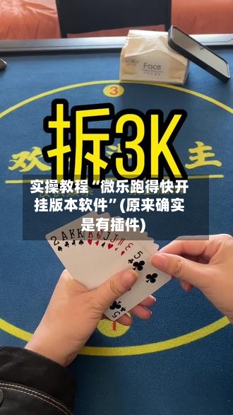 实操教程“微乐跑得快开挂版本软件”(原来确实是有插件)-第3张图片
