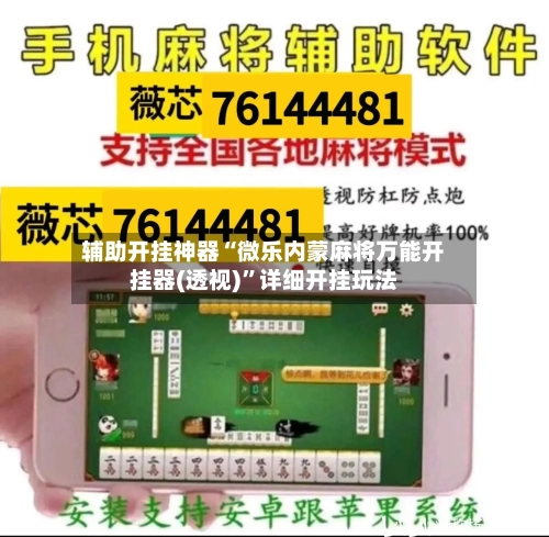 辅助开挂神器“微乐内蒙麻将万能开挂器(透视)	”详细开挂玩法-第3张图片