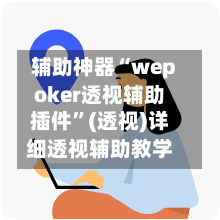 辅助神器“wepoker透视辅助插件”(透视)详细透视辅助教学