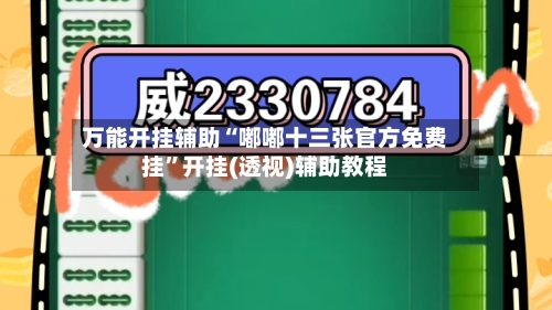 万能开挂辅助“嘟嘟十三张官方免费挂”开挂(透视)辅助教程