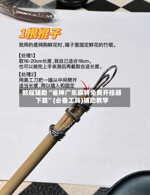教程辅助“雀神广东麻将免费开挂器下载”(必备工具)辅助教学-第2张图片