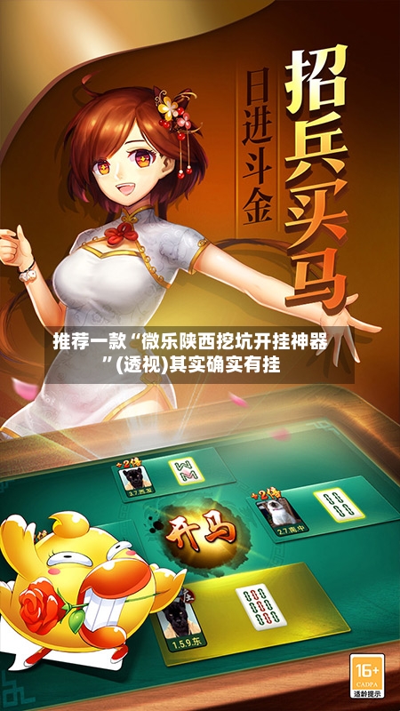 推荐一款“微乐陕西挖坑开挂神器”(透视)其实确实有挂-第3张图片