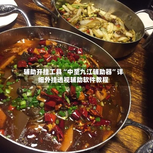 辅助开挂工具“中至九江辅助器”详细外挂透视辅助软件教程
