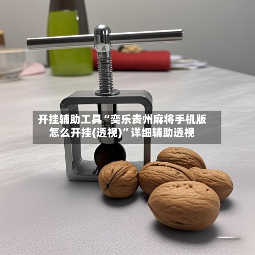 开挂辅助工具“奕乐贵州麻将手机版怎么开挂(透视)	”详细辅助透视-第2张图片