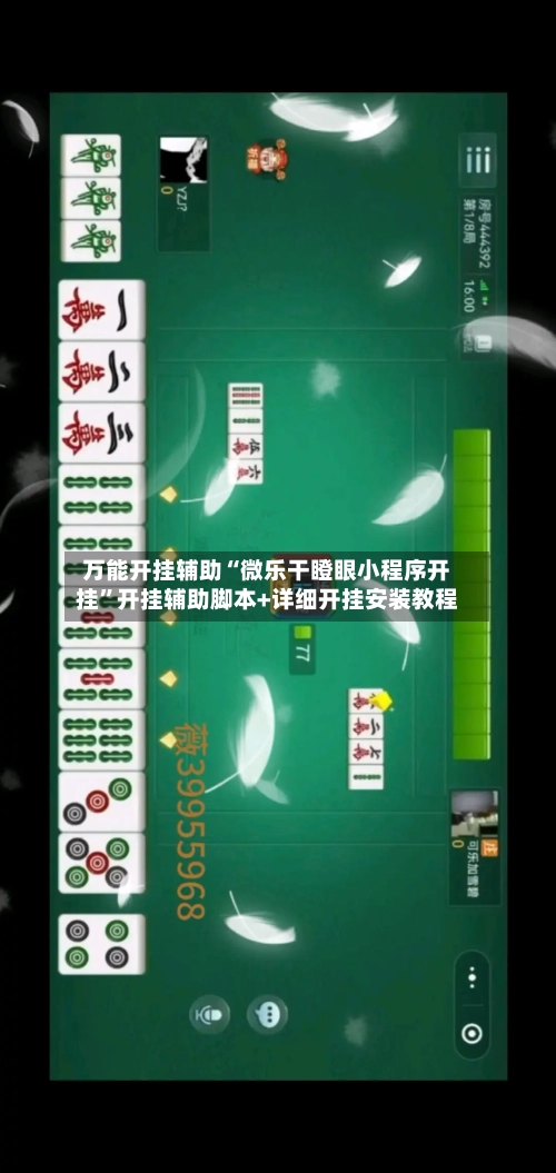 万能开挂辅助“微乐干瞪眼小程序开挂”开挂辅助脚本+详细开挂安装教程-第3张图片