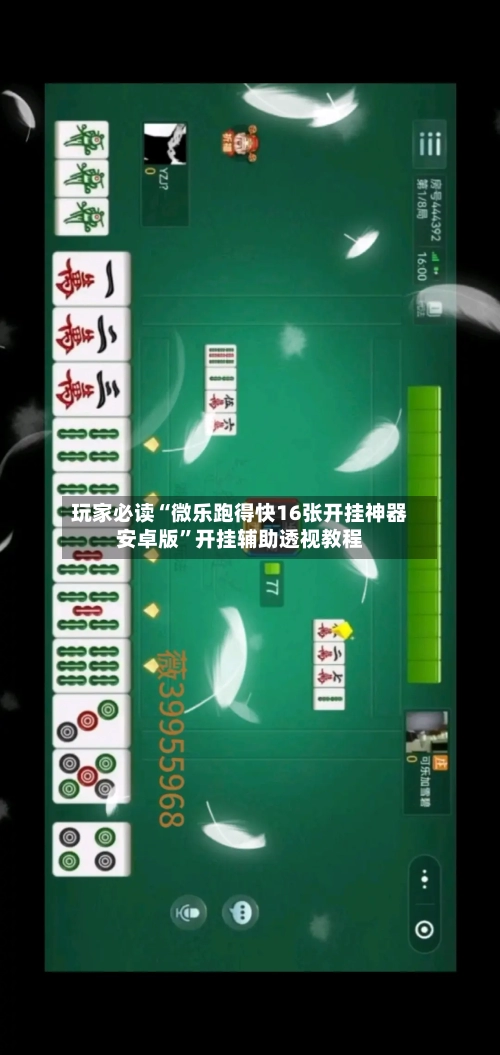 玩家必读“微乐跑得快16张开挂神器安卓版”开挂辅助透视教程-第2张图片