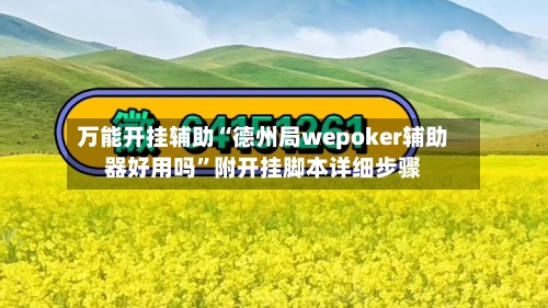 万能开挂辅助“德州局wepoker辅助器好用吗”附开挂脚本详细步骤