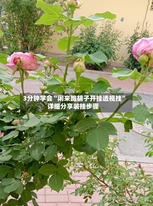 3分钟学会“闲来跑胡子开挂透视挂”详细分享装挂步骤