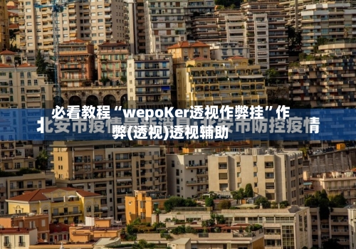 必看教程“wepoKer透视作弊挂”作弊(透视)透视辅助-第2张图片