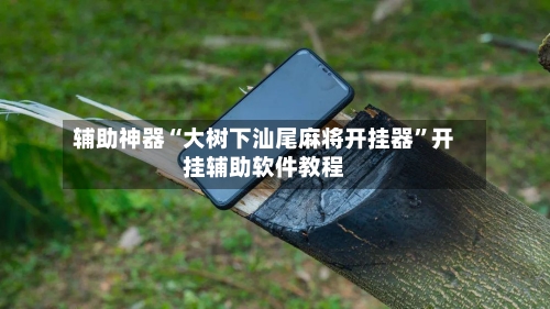 辅助神器“大树下汕尾麻将开挂器”开挂辅助软件教程