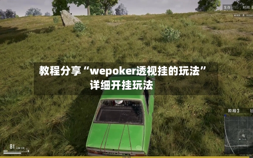 教程分享“wepoker透视挂的玩法”详细开挂玩法-第2张图片