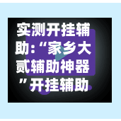 实测开挂辅助:“家乡大贰辅助神器	”开挂辅助详细步骤-第3张图片