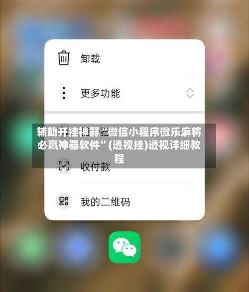 辅助开挂神器“微信小程序微乐麻将必赢神器软件”(透视挂)透视详细教程-第3张图片