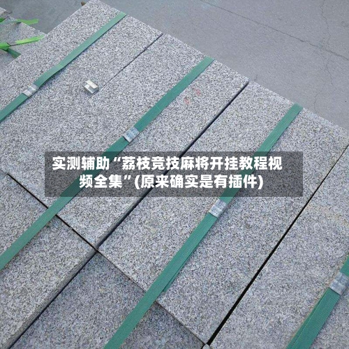 实测辅助“荔枝竞技麻将开挂教程视频全集	”(原来确实是有插件)-第2张图片
