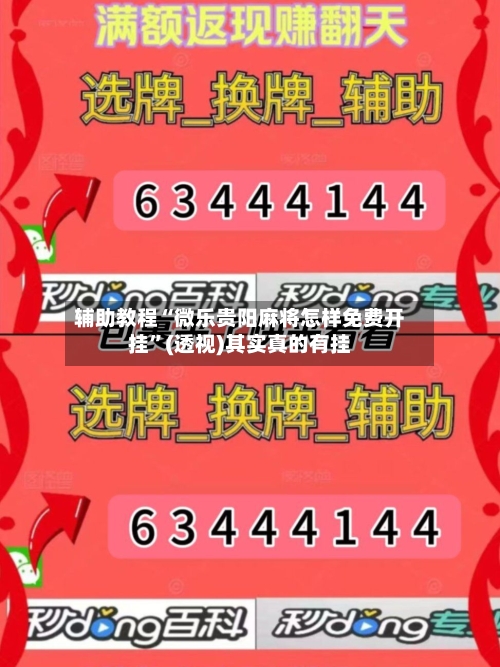 辅助教程“微乐贵阳麻将怎样免费开挂”(透视)其实真的有挂-第3张图片