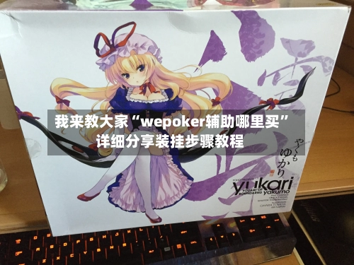 我来教大家“wepoker辅助哪里买”详细分享装挂步骤教程-第3张图片