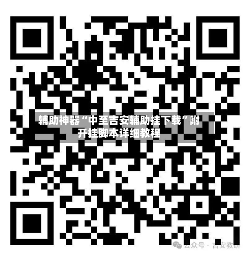 辅助神器“中至吉安辅助挂下载	”附开挂脚本详细教程-第2张图片