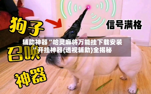 辅助神器“哈灵麻将万能挂下载安装	”开挂神器{透视辅助}全揭秘-第3张图片