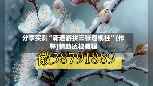 分享实测“新道游拼三张透视挂	”(作弊)辅助透视教程-第2张图片