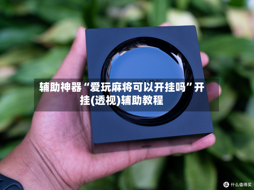 辅助神器“爱玩麻将可以开挂吗”开挂(透视)辅助教程