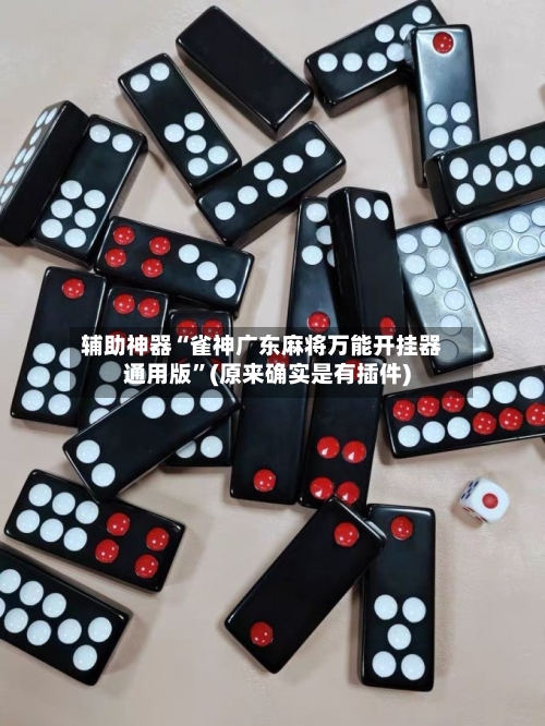 辅助神器“雀神广东麻将万能开挂器通用版	”(原来确实是有插件)-第2张图片