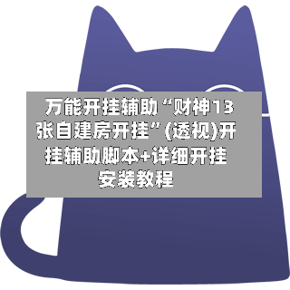 万能开挂辅助“财神13张自建房开挂”(透视)开挂辅助脚本+详细开挂安装教程