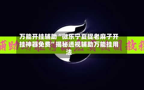 万能开挂辅助“微乐宁夏捉老麻子开挂神器免费”揭秘透视辅助万能挂用法-第2张图片