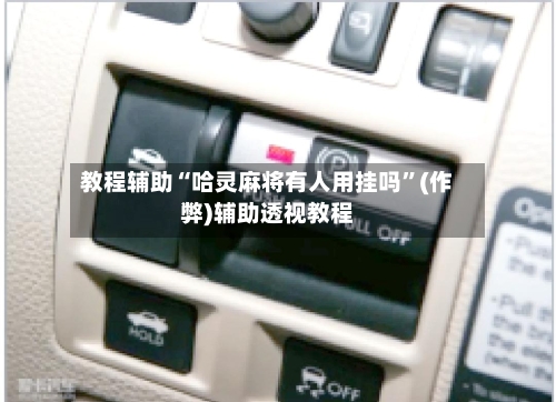 教程辅助“哈灵麻将有人用挂吗”(作弊)辅助透视教程-第2张图片