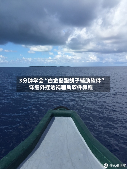 3分钟学会“白金岛跑胡子辅助软件”详细外挂透视辅助软件教程