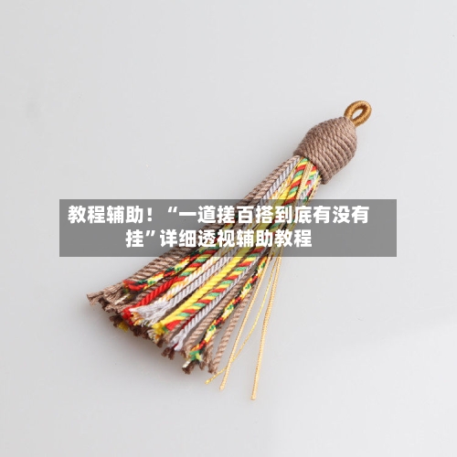 教程辅助！“一道搓百搭到底有没有挂	”详细透视辅助教程-第2张图片
