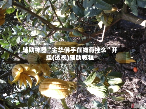 辅助神器“金华佛手在线有挂么”开挂(透视)辅助教程-第2张图片