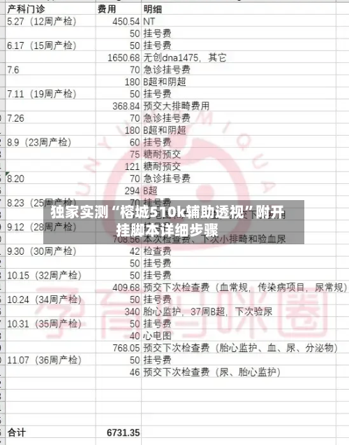 独家实测“榕城510k辅助透视”附开挂脚本详细步骤