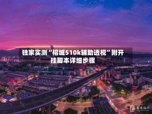 独家实测“榕城510k辅助透视”附开挂脚本详细步骤-第2张图片
