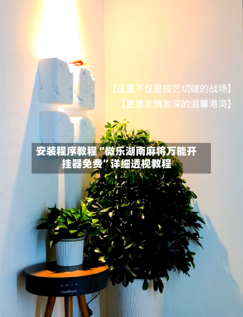 安装程序教程“微乐湖南麻将万能开挂器免费”详细透视教程-第2张图片