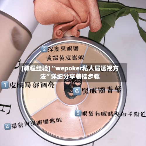 [教程经验]“wepoker私人局透视方法”详细分享装挂步骤