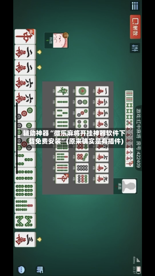 辅助神器“微乐麻将开挂神器软件下载免费安装	”(原来确实是有插件)-第3张图片