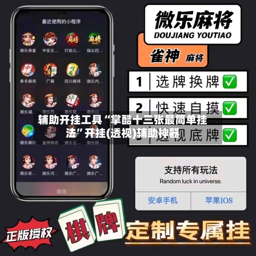 辅助开挂工具“掌酷十三张最简单挂法”开挂(透视)辅助神器-第2张图片