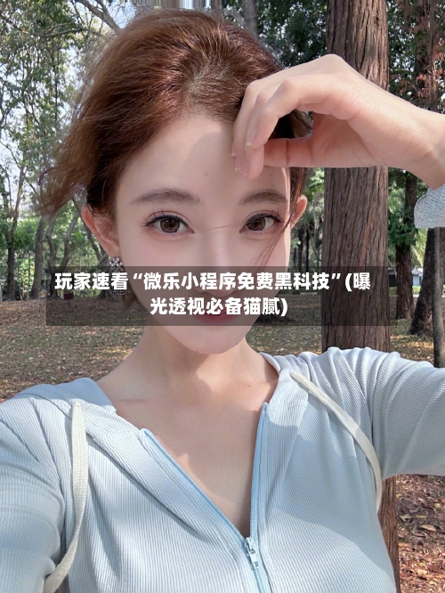 玩家速看“微乐小程序免费黑科技”(曝光透视必备猫腻)-第3张图片