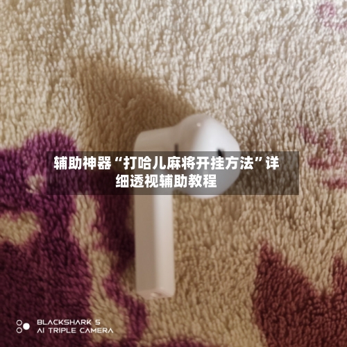 辅助神器“打哈儿麻将开挂方法”详细透视辅助教程-第2张图片