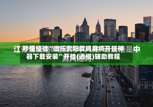 秒懂经验“微乐贵阳捉鸡麻将开挂神器下载安装”开挂(透视)辅助教程